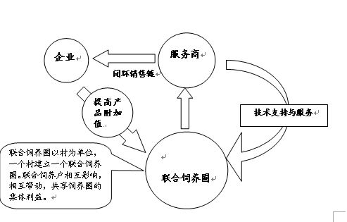 “油多多”飼料新品上市推廣方案 以“喂豬加油”引爆市場(chǎng)奇跡